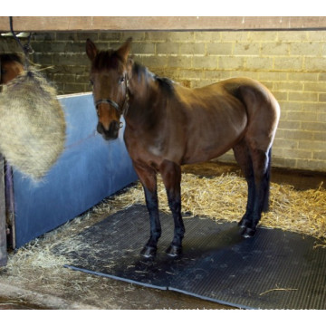 Stable Wall Mats 10mm 6ft X 4ft, EVA Foam Mat